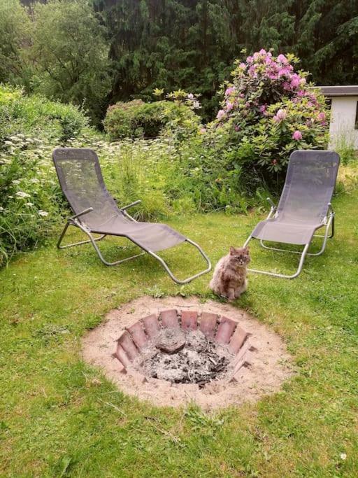 Ferienwohnung Fuer Naturfreunde Rathmannsdorf Dış mekan fotoğraf
