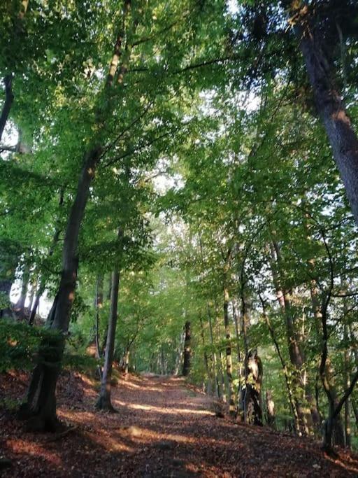 Ferienwohnung Fuer Naturfreunde Rathmannsdorf Dış mekan fotoğraf